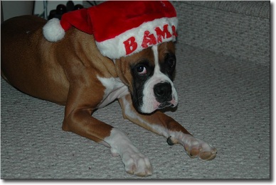 "Mom, can I take this hat off now?"