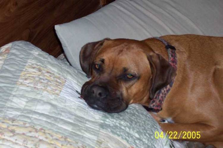 Mom, can we pleae go to sleep now