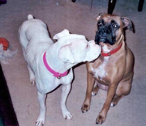 Mom, Does she have to kiss me?