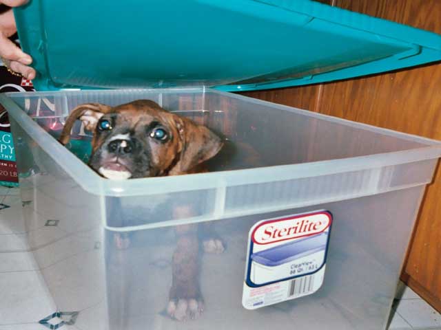 Mom how do i get out??
