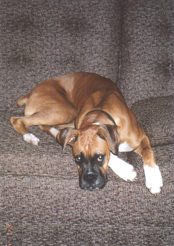 Mom, I am tired of all the pictures