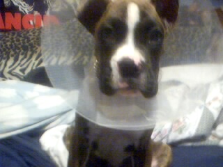Mom, I look goofy