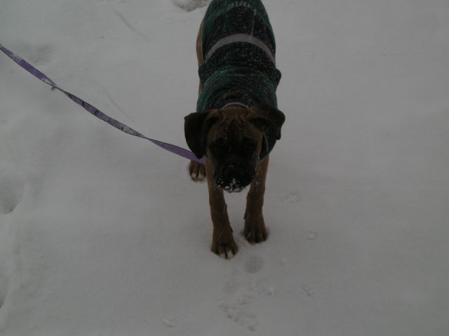 mom i love the snow!