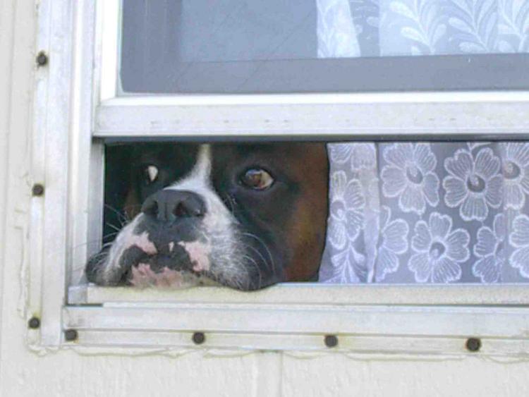 Mom, I'm in here.