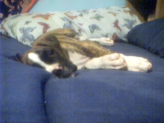 mom, I'm sleepy