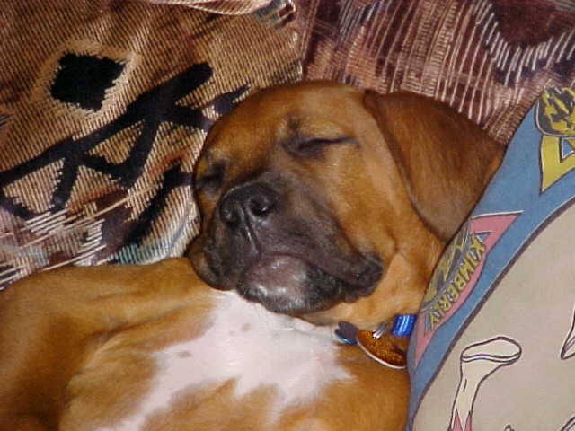 Mom im tired