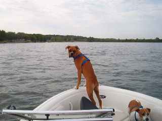 Mom, look all this water!!
