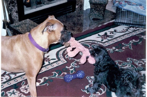 Mom!! Make him give me that toy!