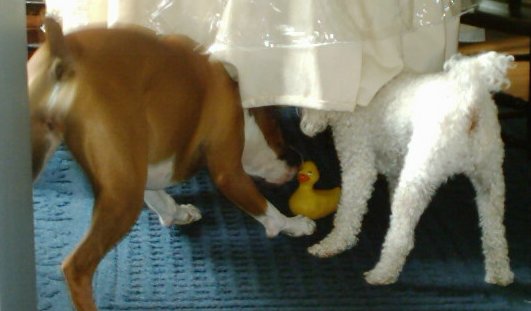 Mom said not under the table