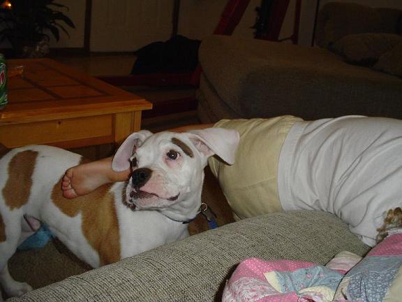Mom tell Bailey to get off me!