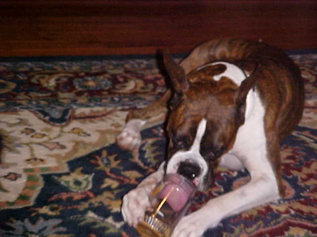Mom, we need more peanut butter