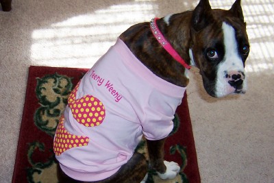 Mom went to petsmart and all I got was this shirt