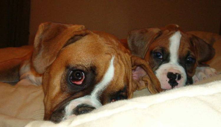 Mom we're trying to sleep!