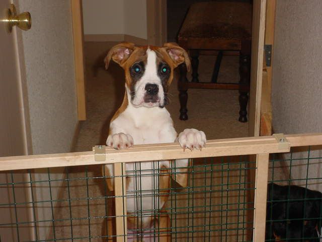 Mom, where are you going?