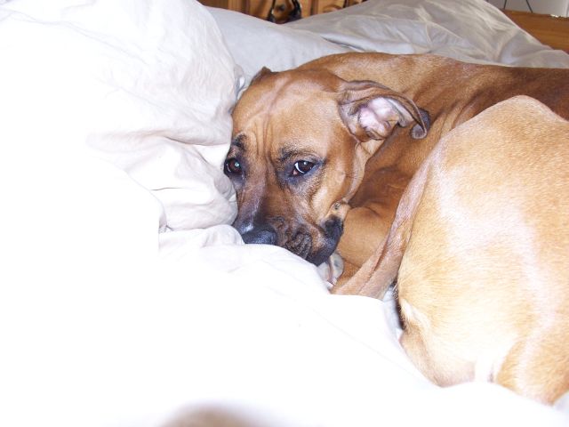 Mom, why are you taking pictures of me?