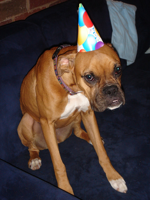 Momma can I take this hat off yet?