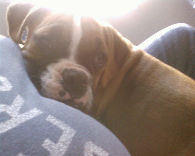 Momma's girl already