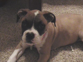 Momma's little girl...