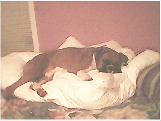 Mommy and I played a lot today