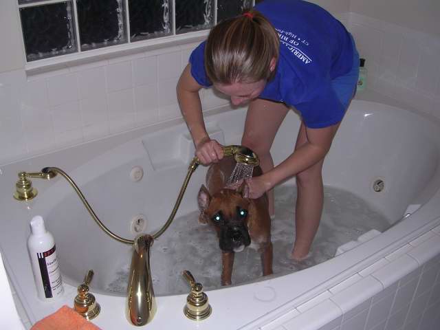 Mommy giving Mav a bath!! EWW stinky boy!!