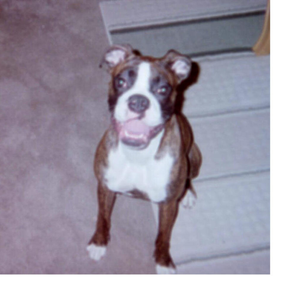 Mommy, I wasn't doing anythiing....