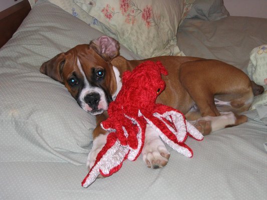Mommy, I'm sleepy!