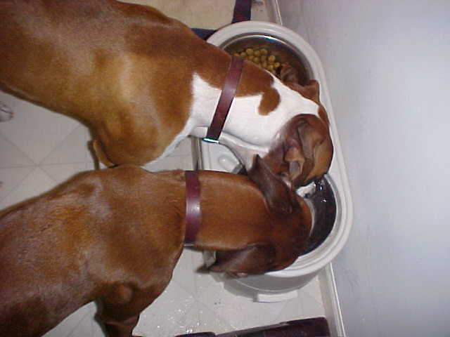 Mommy Tells Us to Share