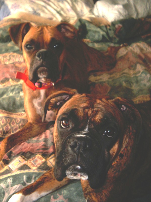 Mommys girls