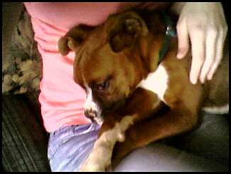 Mommy's Lap Is The BEST!