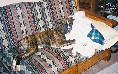 Mom's blanket