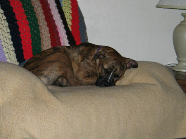 mom's chair