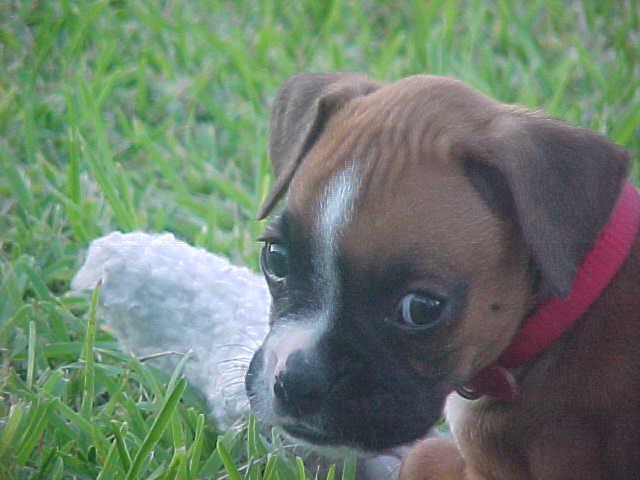 Mom's Little Sassy Girl