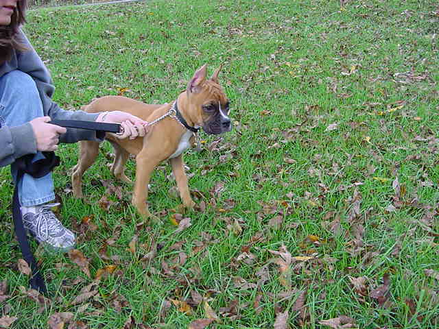 Mom's on a leash now.