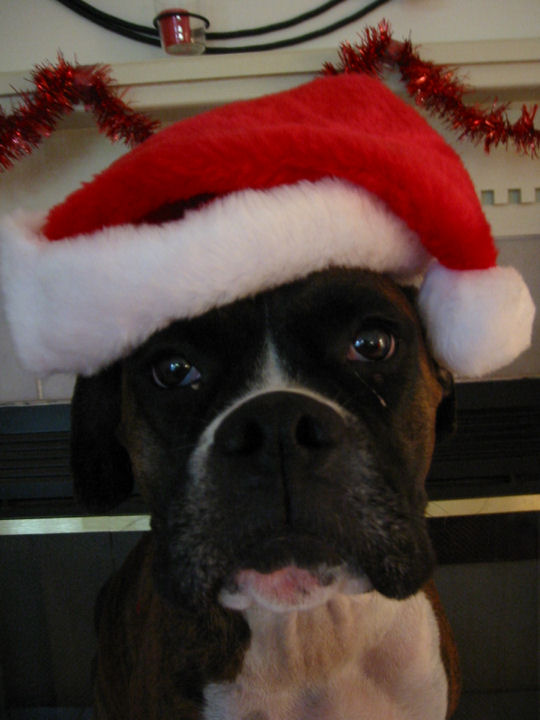 Mona Claus