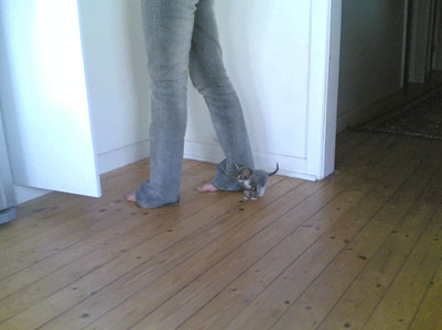 Monster and Feet