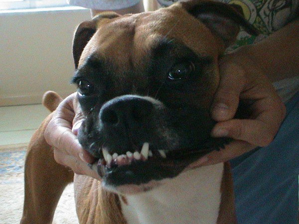 Monster impression