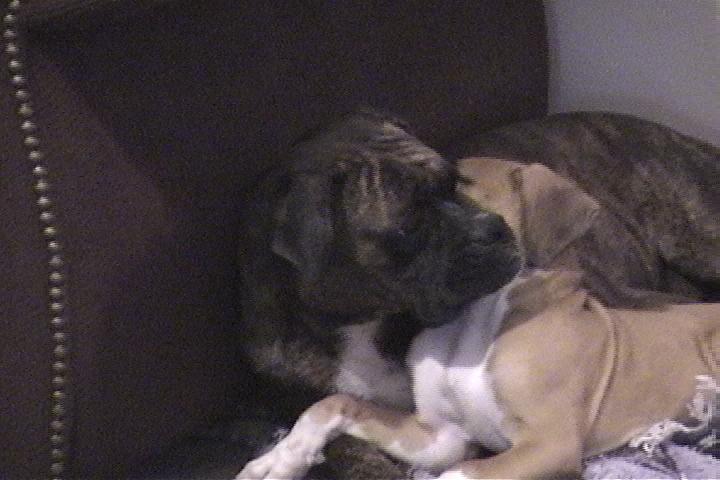 Montana and Ava