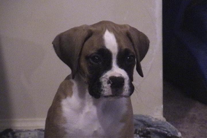 Montana_and_ava_052