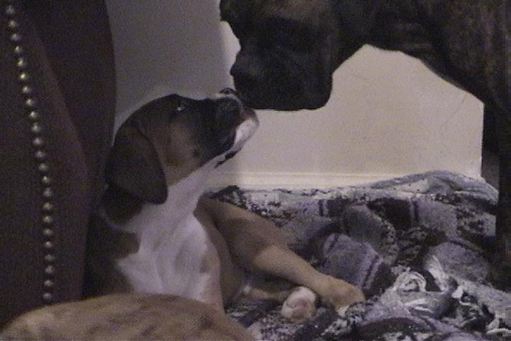 Montana_and_ava_061