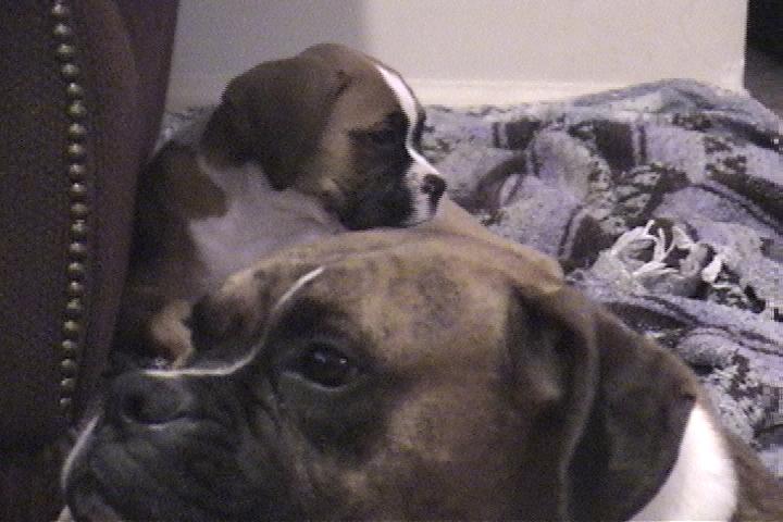 Montana_and_ava_064