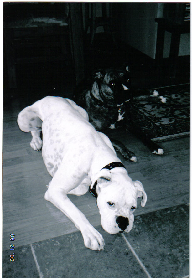 Monte and Peyton