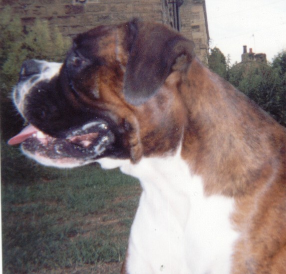 Monty profile