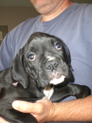 monty