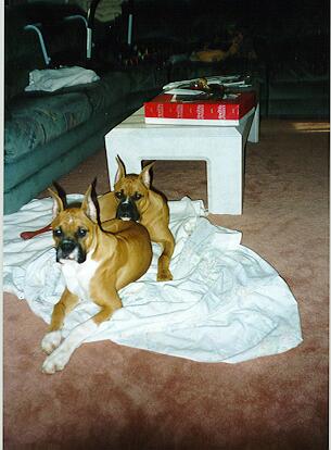 Mookie & Chance