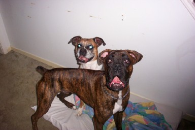 Mooom..Xena won't share!