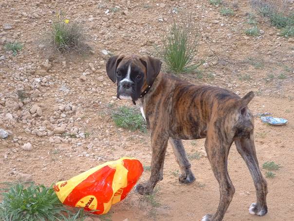 Moooom.., somebody broke my ball!!!