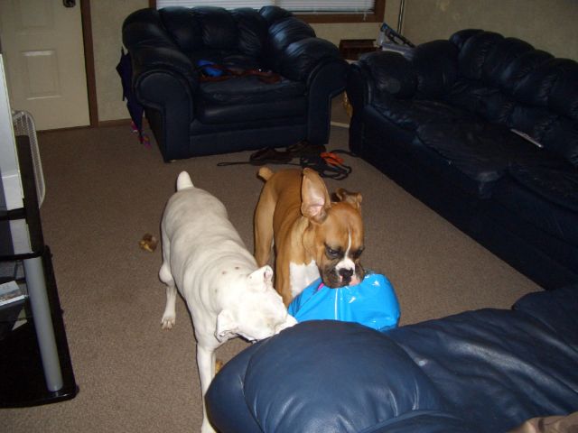 More Ball Fun