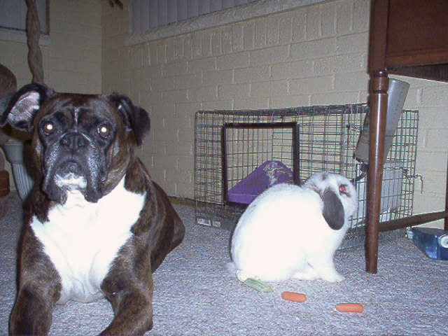 More Casey & Jay