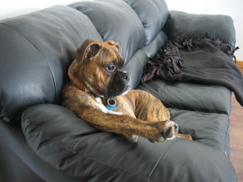 More Couch