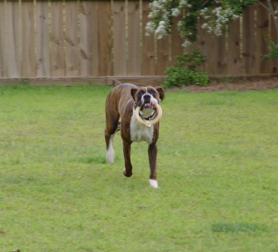 More fetch